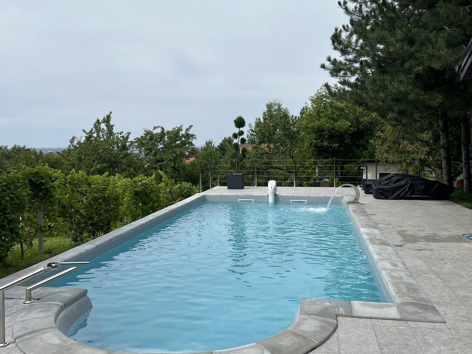 A rectangular pool with grey stone coping on a hilltop lot, trees and open sky behind it.