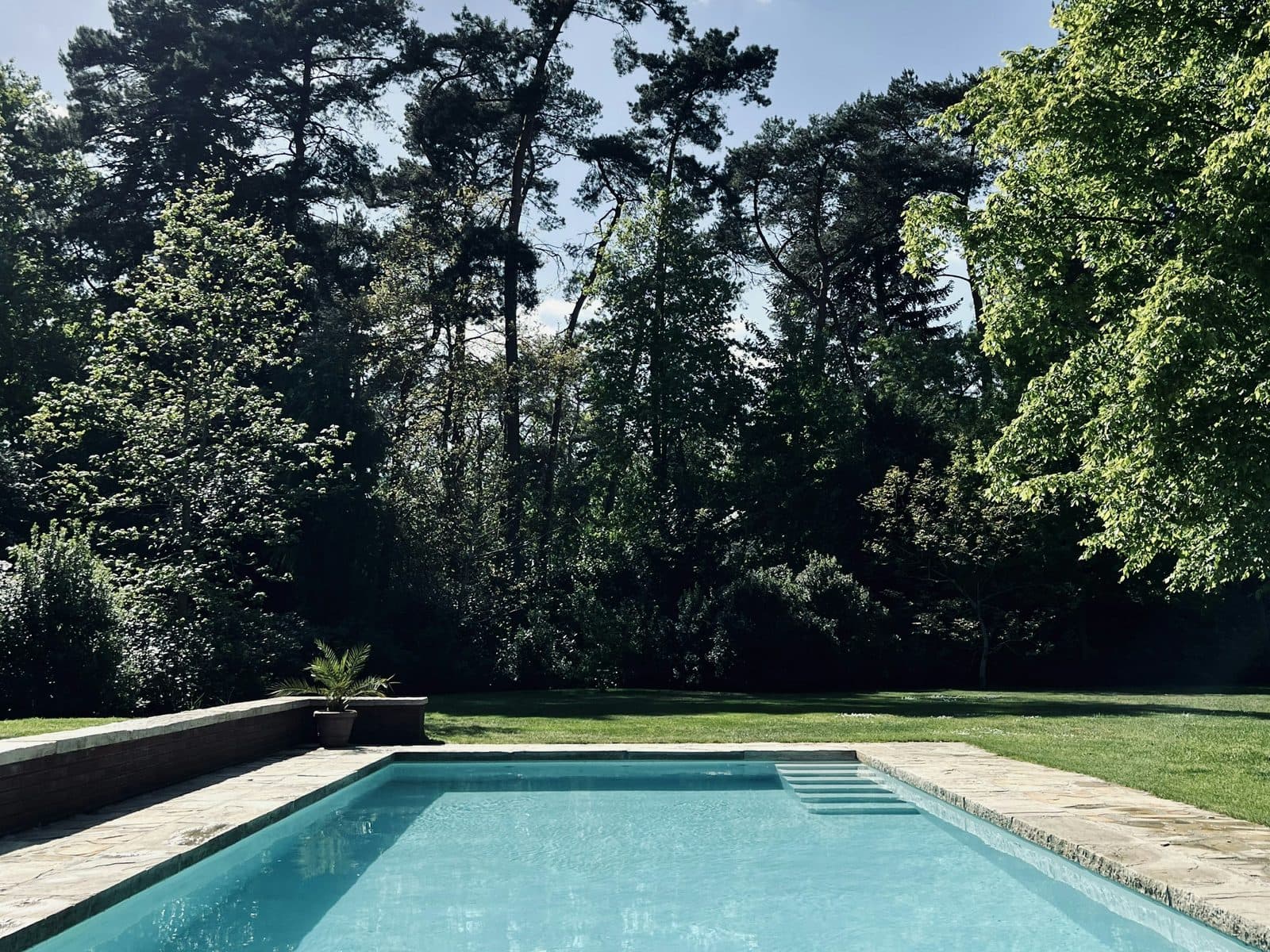 A long rectangular lap pool with a pale deck, bordered by tall trees under a cloudy sky.